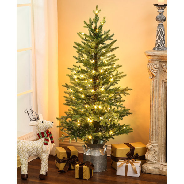 Andover Mills™ 4'4" H Slender Green Realistic Artificial Fir Christmas Tree with 100 LED Lights